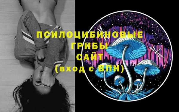 шишки Алексеевка