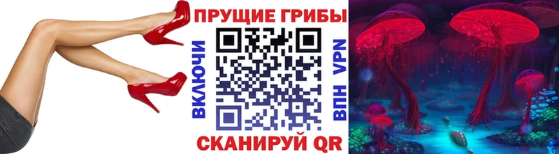 Галлюциногенные грибы Cubensis дарк нет какой сайт Кизел